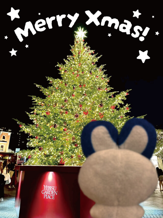 メリークリスマス！🎅
エムズカンパニーのエムズちゃんです🐰

エムズちゃんも各地で開催されているクリスマスイベントに遊びに行ってきましたよ🎄
恵比寿ガーデンプレイスの10mのツリーとイルミネーションは圧巻でした✨
横浜赤レンガ倉庫のクリスマスマーケットには大人気のポケモンブースもあって、大人も子供も写真を撮ったりして楽しんでいる様子にエムズちゃんも楽しい気持ちになりました🥰

皆さんも楽しいクリスマスの夜をお過ごしください🎁

#クリスマス#クリスマスマーケット#横浜赤レンガ倉庫#恵比寿ガーデンプレイス#ポケットモンスター#ピカチュウ#アニメグッズ#ノベルティ#ノベルティ作成#オリジナルグッズ#エムズカンパニー#神保町