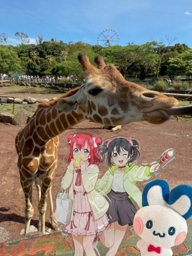 お久しぶりです！
エムズカンパニーのエムズちゃんです🐰🦒

今回訪れたのは伊豆アニマルキングダムで開催中のイベント「レジャフェス」です！
レジャフェスというのは全国の色々なレジャー施設とラブライブ！シリーズがコラボレーションするイベントです。
コラボがあると、行ったことのない場所に行くきっかけになるので面白いですよね。

#レジャフェス#ラブライブ#ラブライブ！#μs #Aqours#伊豆アニマルキングダム#ウォーキングサファリ#コラボイベント#キリン#アニメグッズ#ノベルティ#ノベルティ作成#オリジナルグッズ#エムズカンパニー#神保町#アクスタ